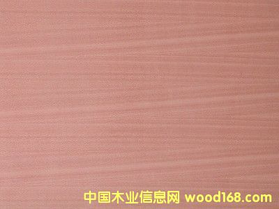 Sapele Plywood