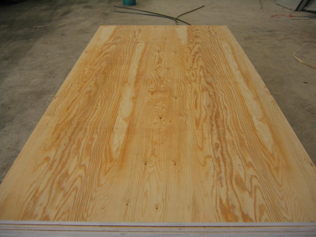 Pine PlywoodԔB