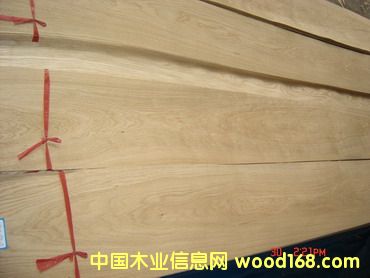 c(din)鿴Chinese Oak (C/C)ŴDƬ