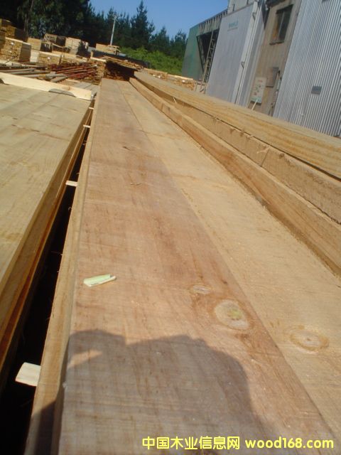 c鿴chile radiata pine edged roughŴDƬ