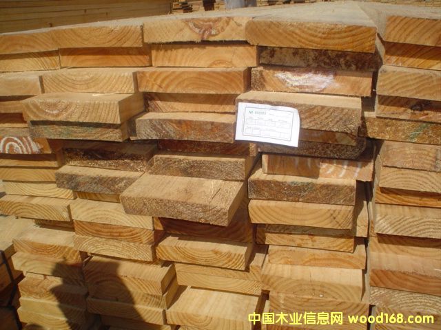 c鿴chile radiata pine edged roughŴDƬ