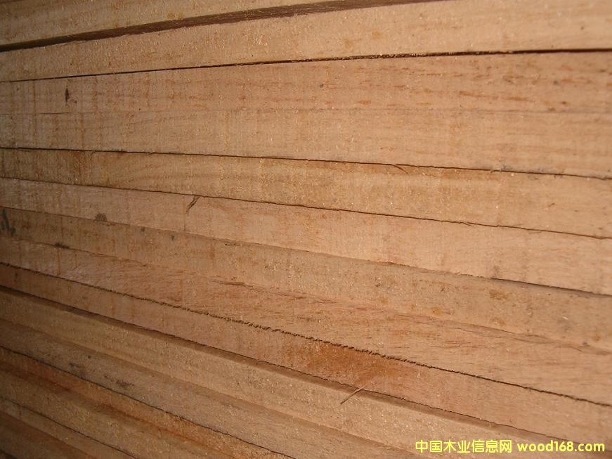 c鿴chile radiata pine edged roughŴDƬ