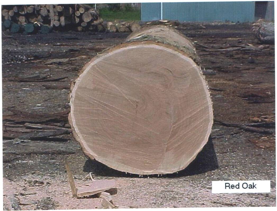 RED OAK