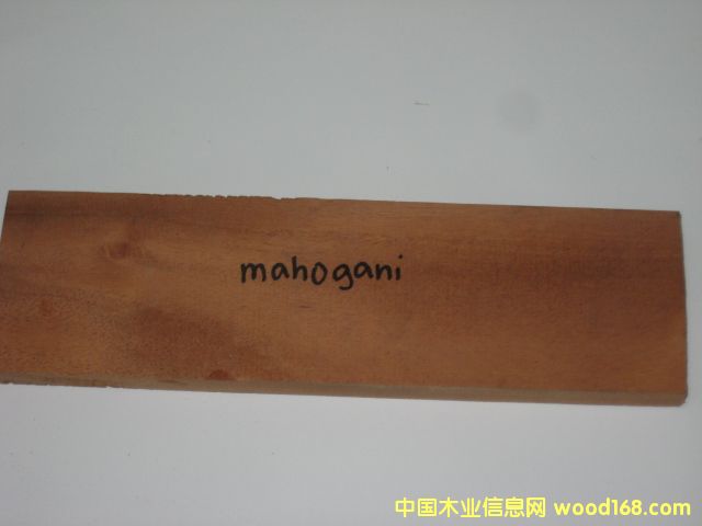 һľMAHOGANY