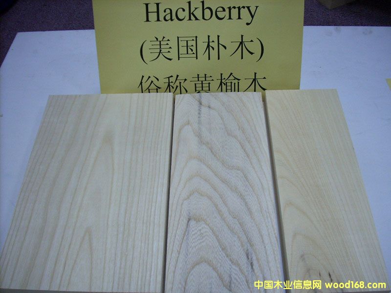 FSCľ(׷QSܡȸľ)Hackberry 