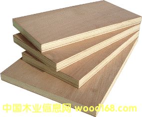 supply plywoodԔB