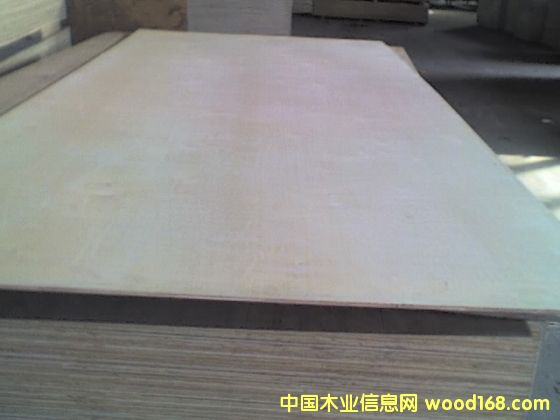 birch plywood