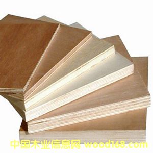 Poplar Plywood2ԔB