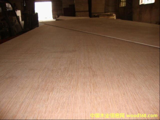 Keruing Plywood