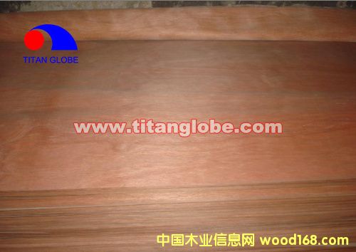 MLH Veneer - Titan Globe