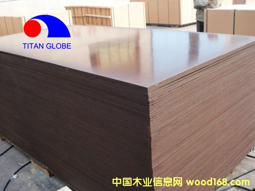 Shuttering Plywood-Titan Globe