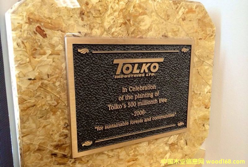 TOLKO_˹ٻSͶa