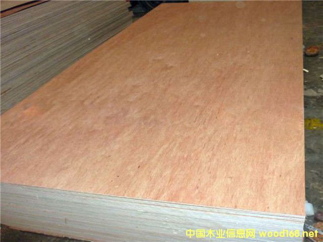 Bintangor Plywood 4