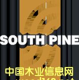 [] ؛mSouthpineݗɼҾ߼