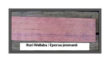 Ituri Wallaba